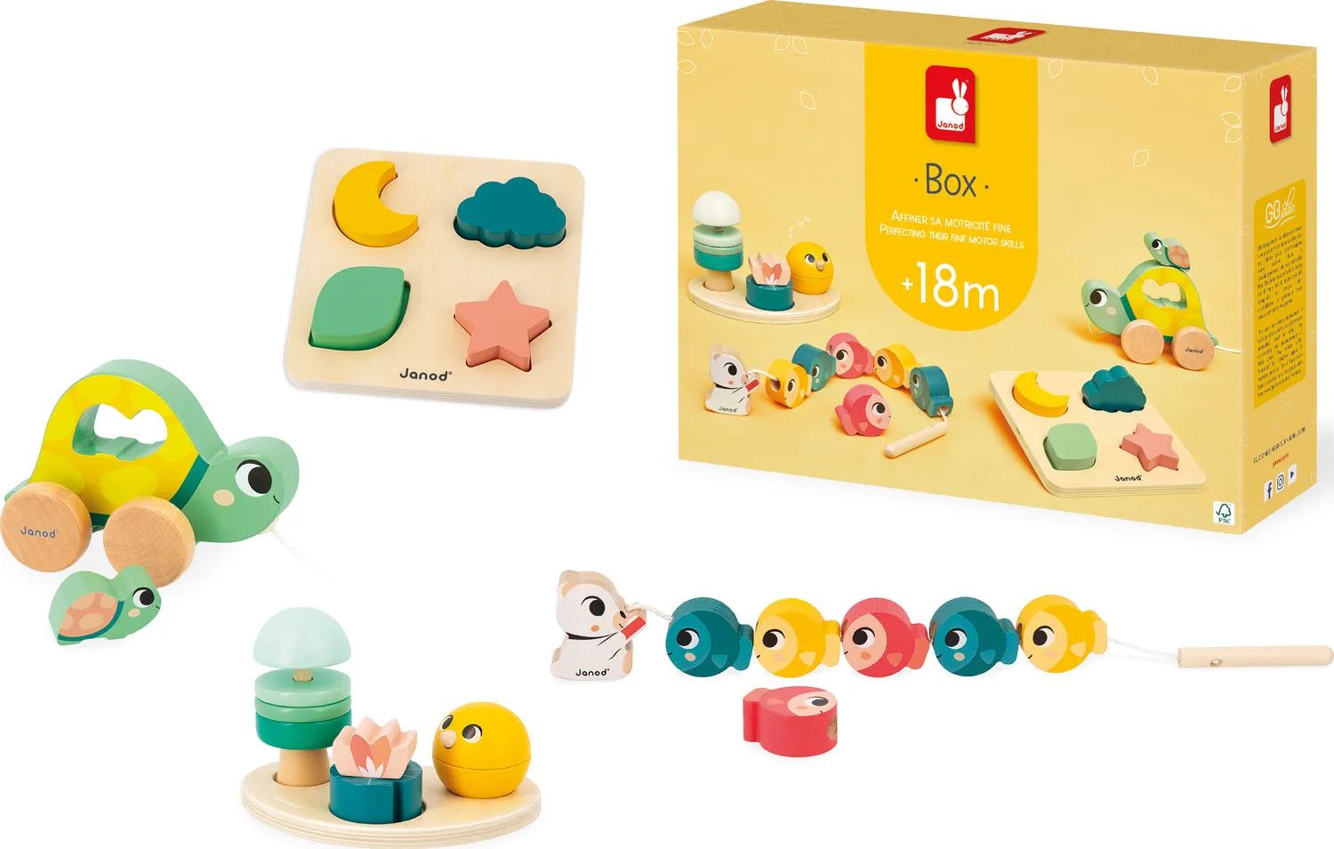 Developmental Activity Box  18 mos