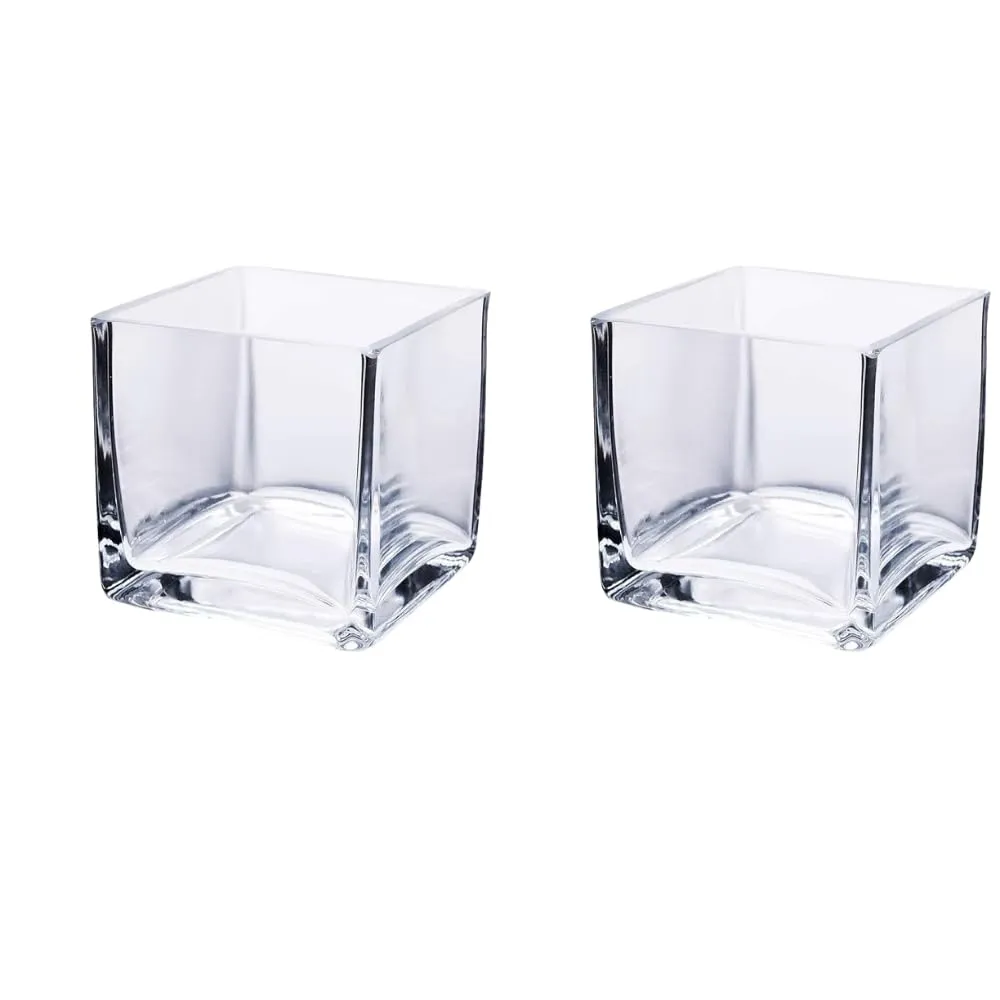 Relanta Home Decoration Glass Tall Square Vase for Home Decor | Office,Bar, Table Decorative Items Pack of- (2)