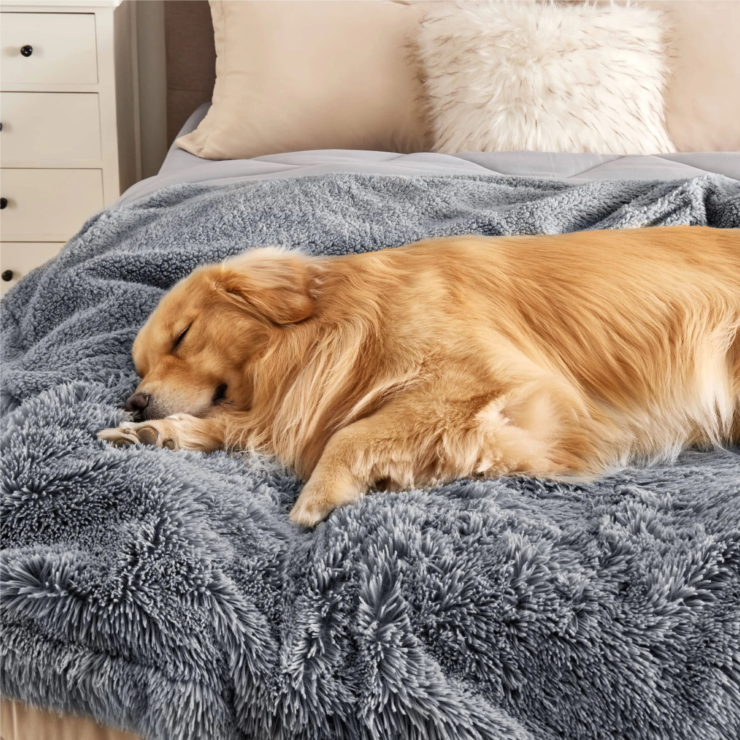 Waterproof Pet Blankets