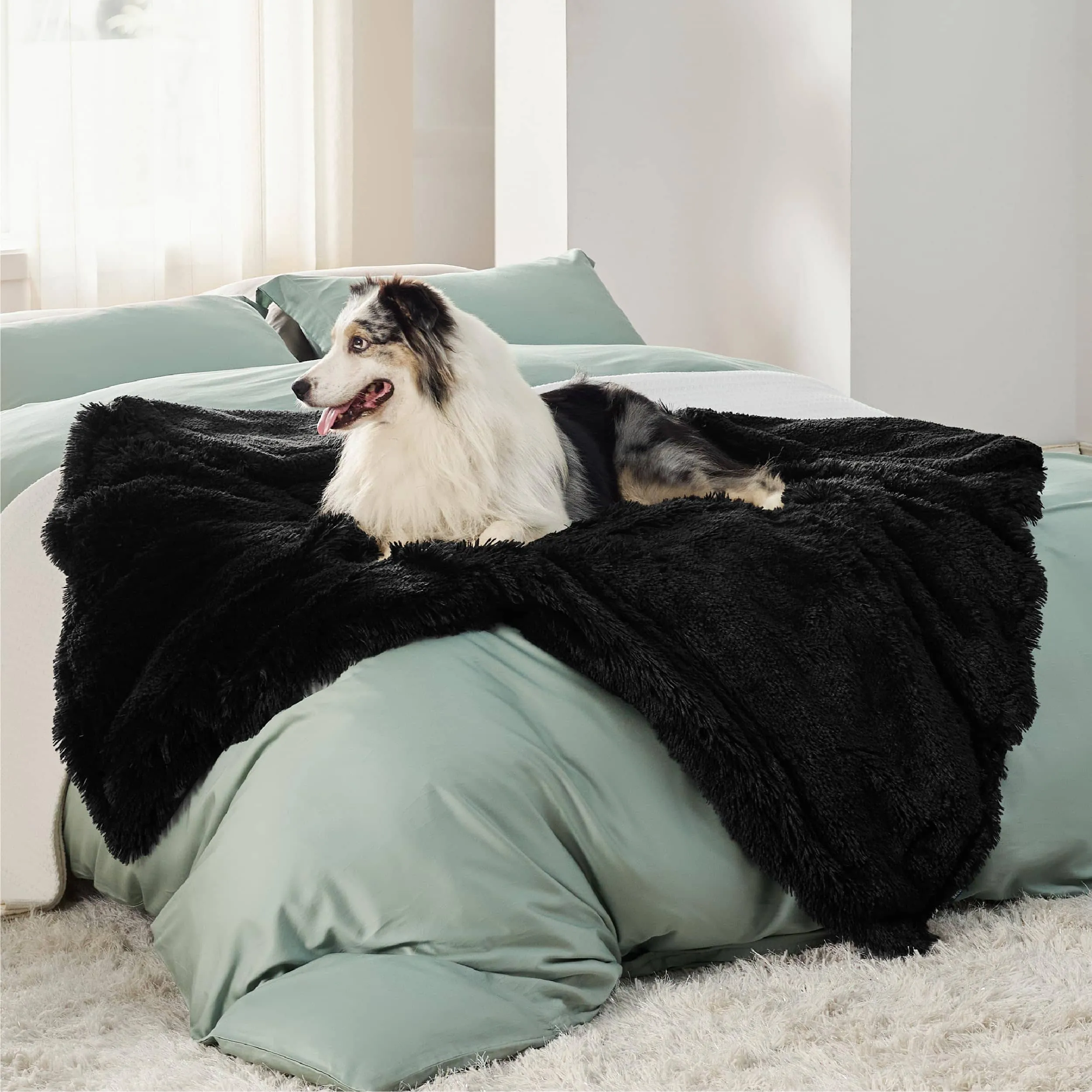 Waterproof Pet Blankets