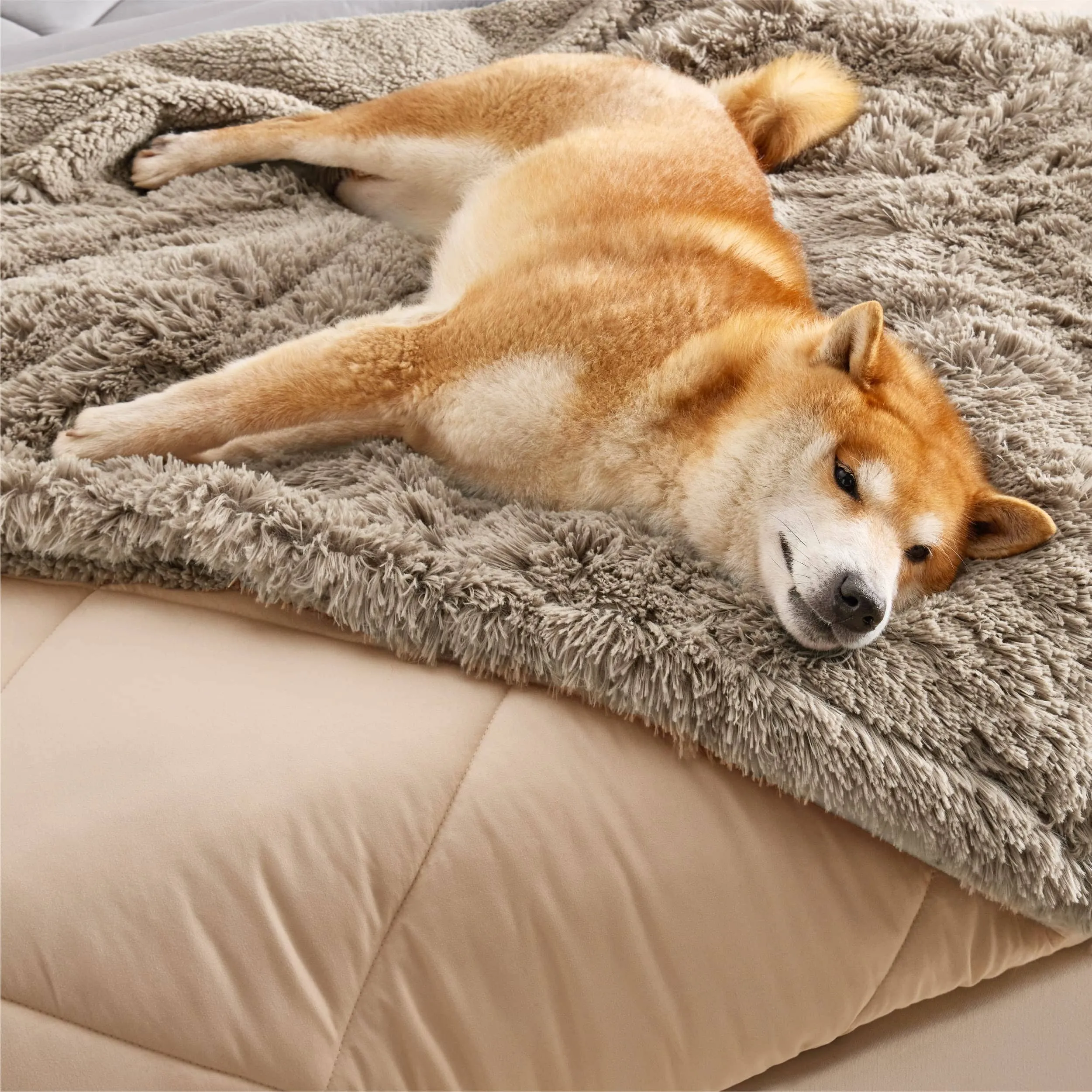 Waterproof Pet Blankets